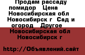 Продам рассаду помидор › Цена ­ 30 - Новосибирская обл., Новосибирск г. Сад и огород » Другое   . Новосибирская обл.,Новосибирск г.